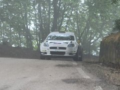 rally_cellole001