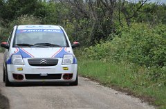 rally_cellole141