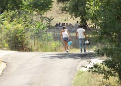 IMG_3004