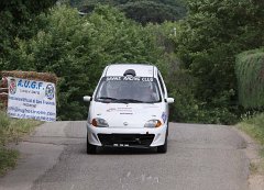 IMG_1994