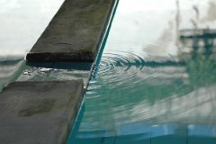 DSC_0383